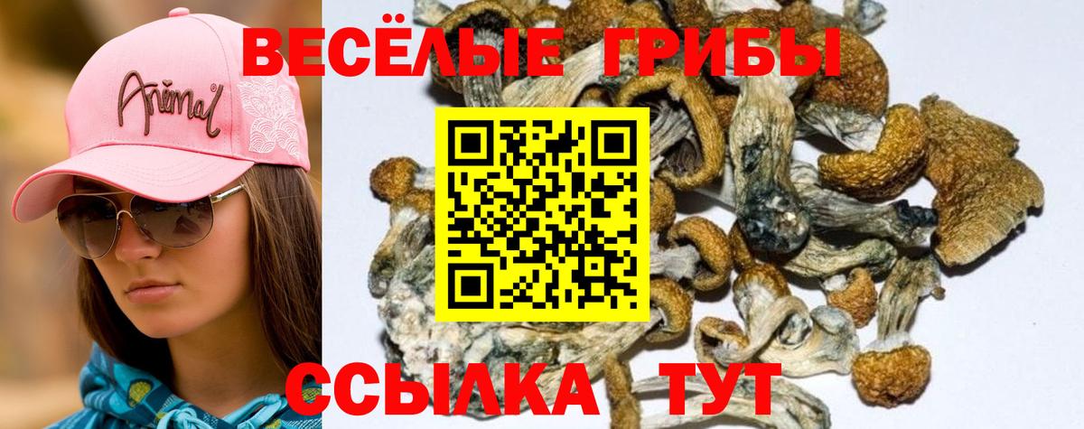 Галлюциногенные грибы ЛСД  Галлюциногенные грибы мицелий  Хабаровск  Вход с VPN 